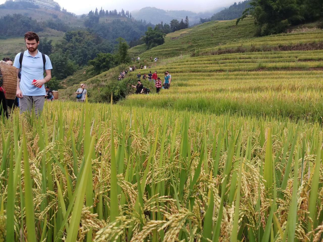 Tuongmai Home & Trekking Tour Сапа Екстериор снимка